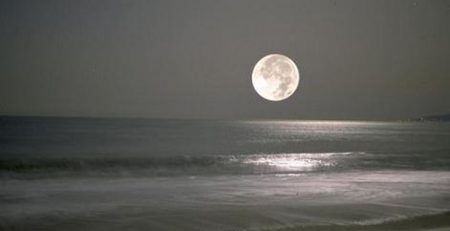 Uma Noite na Praia ao Luar.