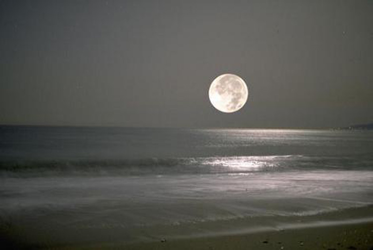 Uma Noite na Praia ao Luar.