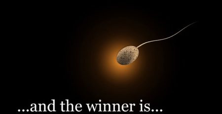 Questões sobre sexo