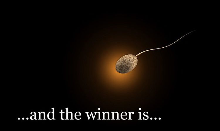 Questões sobre sexo